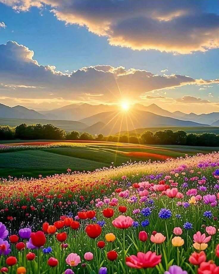 sansofibm's tweet image. 🌞Good morning X fam.. ✨✨
Happy Friday! Wishing you a day full of positivity and smiles🌟🌹