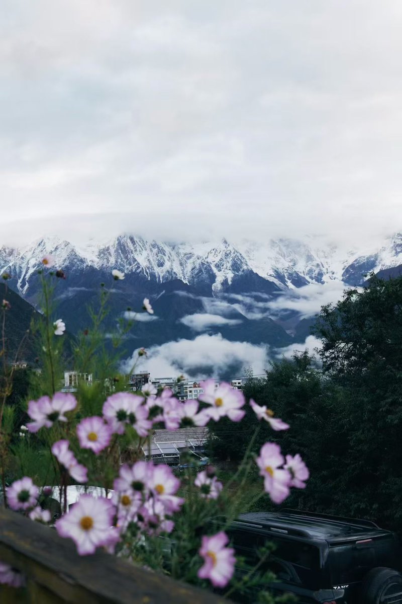 zhang yan(互FO) tweet media