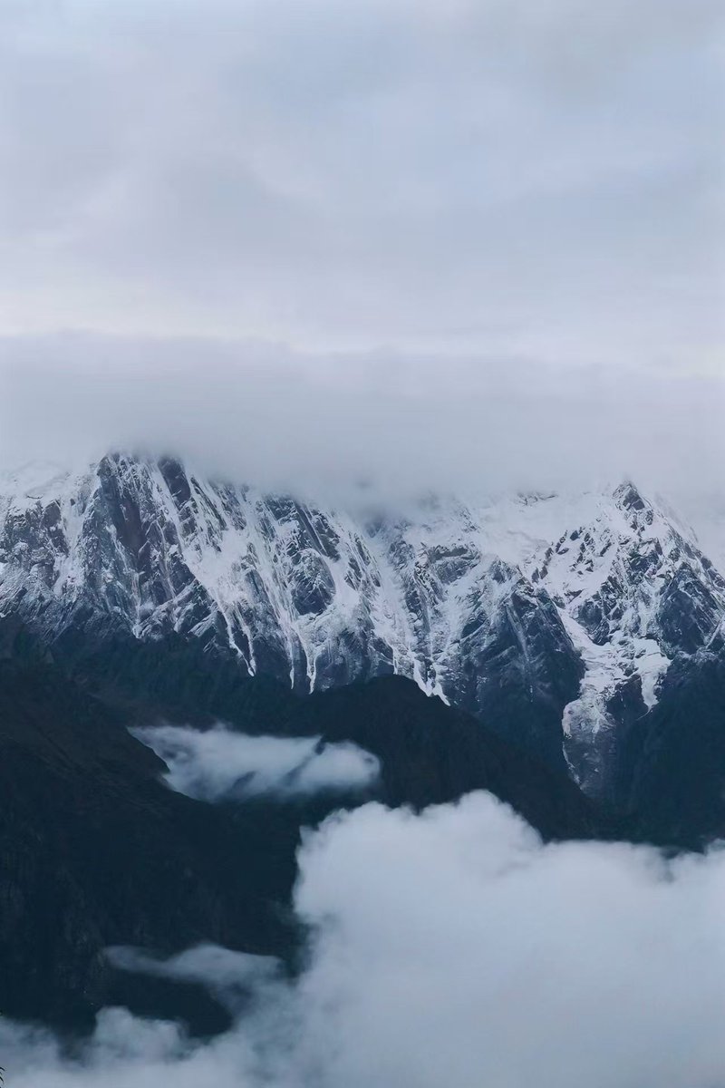 zhang yan(互FO) tweet media