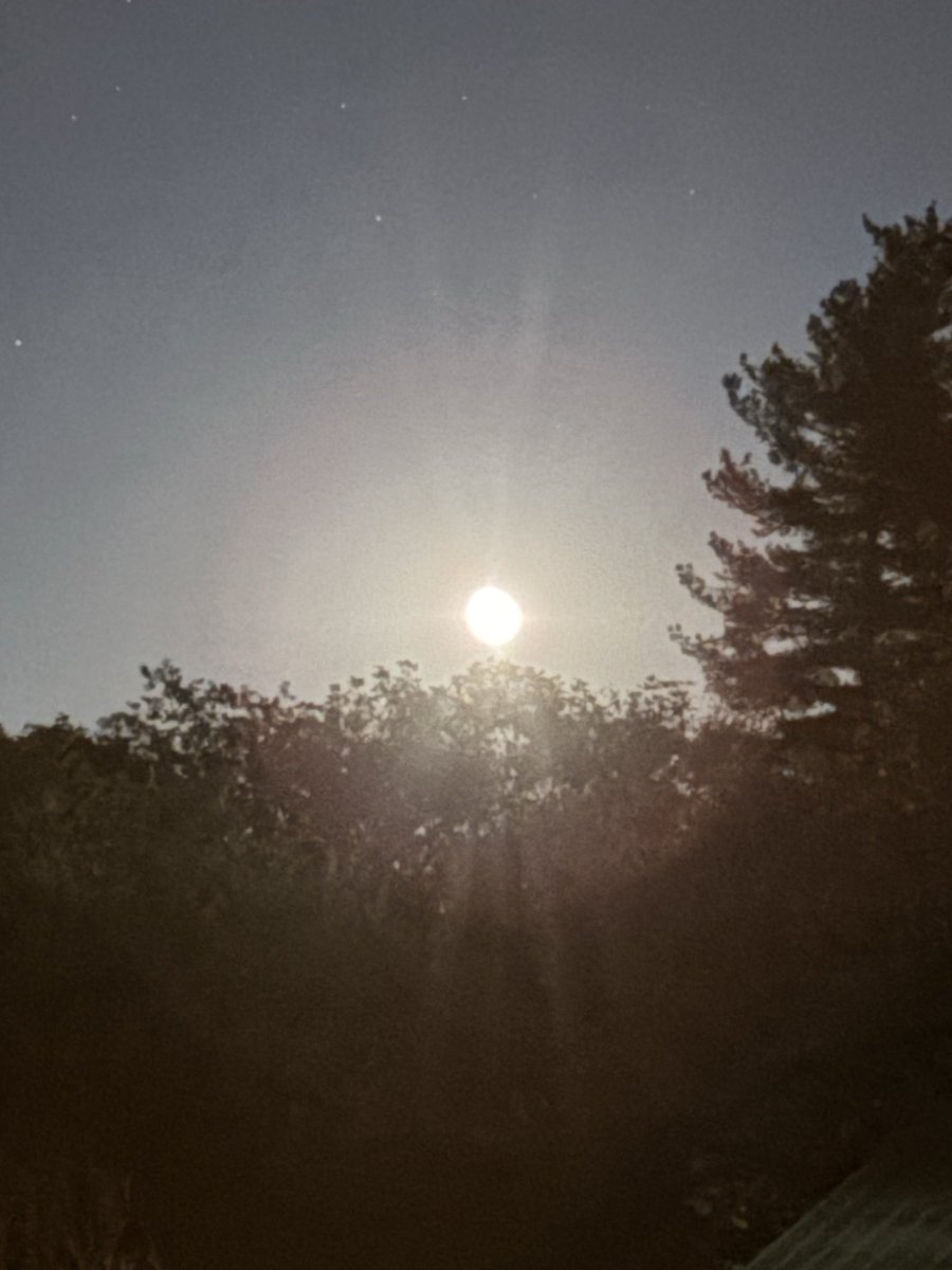 steven_pee51332's tweet image. My view of the moon 🌕 tonight