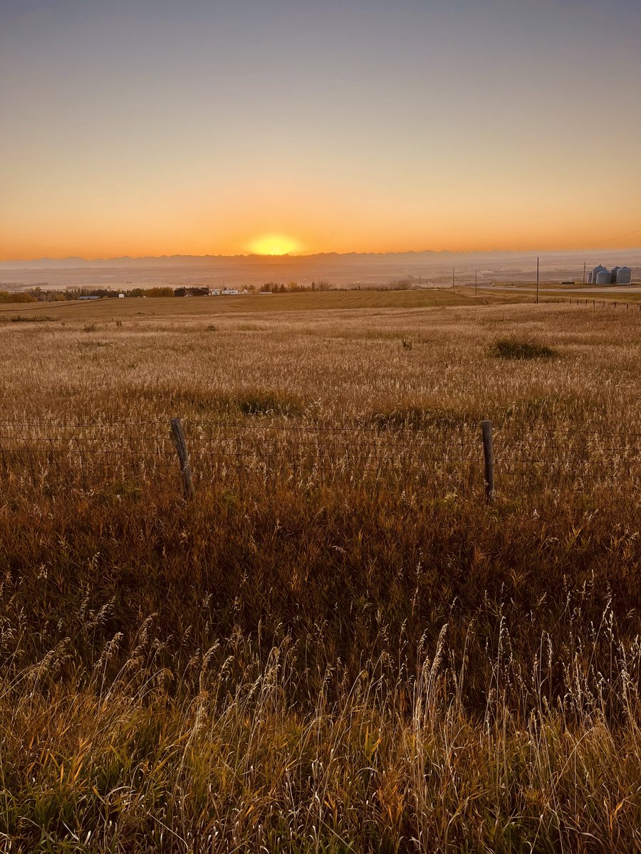 Roblaird681344's tweet image. Thursday evening sundown on Gladys Ridge Alberta Canada 🌅🇨🇦