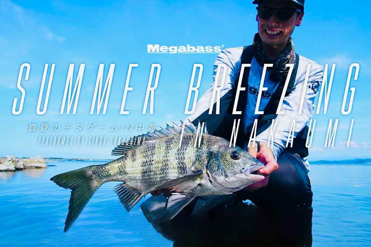Megabass メガバス株式会社 (@megabass_jp) / X