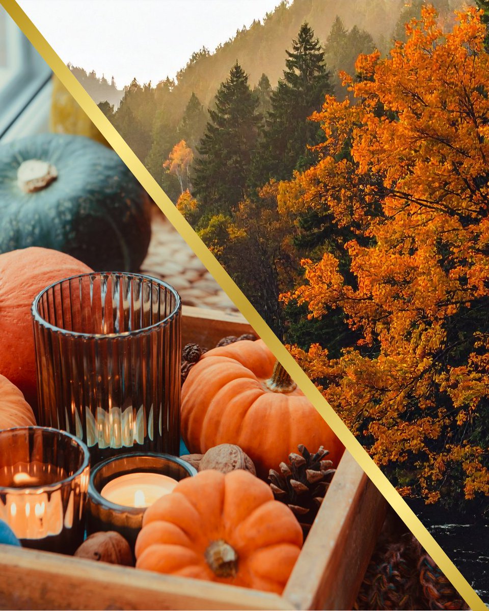 PlayChoices's tweet image. Which version of fall are you this year? 🎃

🖤 DARK FALL 🖤
Mystery drenched in cold fog. Beauty that borders on dangerous.

🍂 COZY AUTUMN 🍂
Amber light at dusk. A warm blanket and someone's hand finding yours. 

#FallAesthetic #AutumnVibes #SpookySeason #DarkRomance