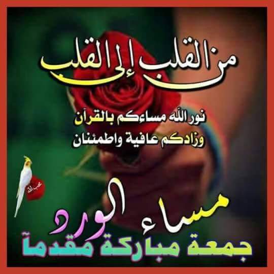 ابو احمد سليم (@slymabw) on Twitter photo 