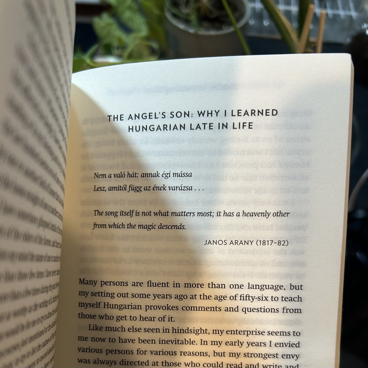 Luca Demetriadi tweet media