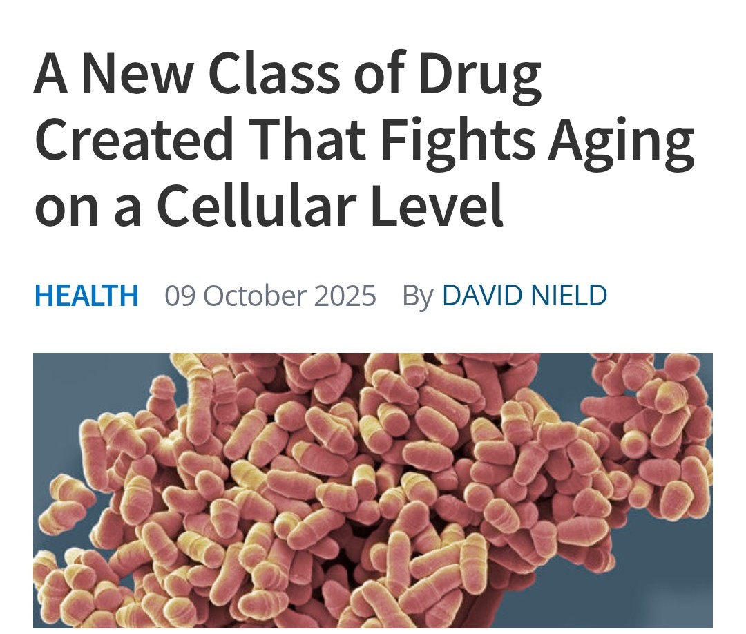 This New Drug Could Be the Biggest Anti-Aging Breakthrough Since Rapamycin

Researchers at Queen Mary University of London tested Rapalink-1, a new drug based on rapamycin, known for extending lifespan in cells and rodents. 

In yeast experiments, Rapalink-1 extended lifespan