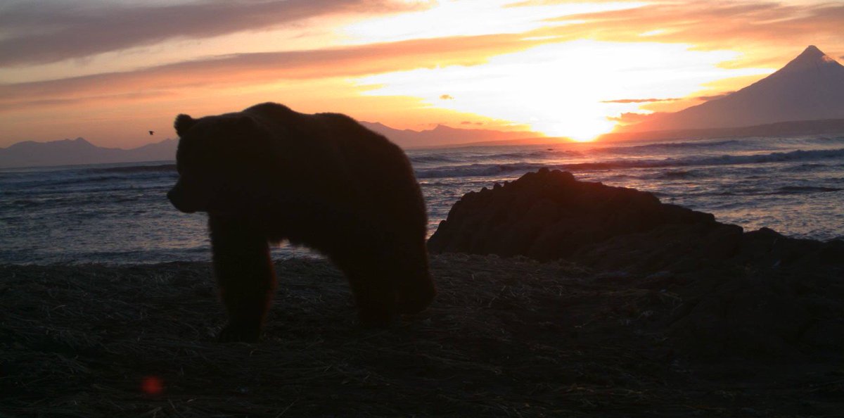 not__dog__'s tweet image. At the end of the world