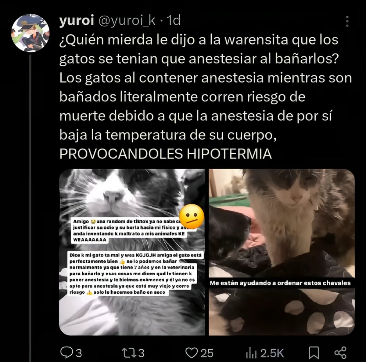 angelique tweet media