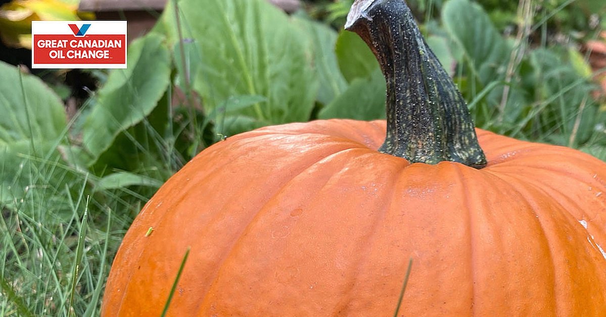 gcocswiftcurr's tweet image. 🦃We will be closed on Thanksgiving Monday, October 13. Enjoy the bounty! 🥧
See you down the road! 🚗 
QUICK. TRUSTED. EXPERT CARE. 
No appointment needed.
gcoc.ca/locations/sask…
#gcocswiftcurrent #oilchangeswiftcurrent #bestoilchange
