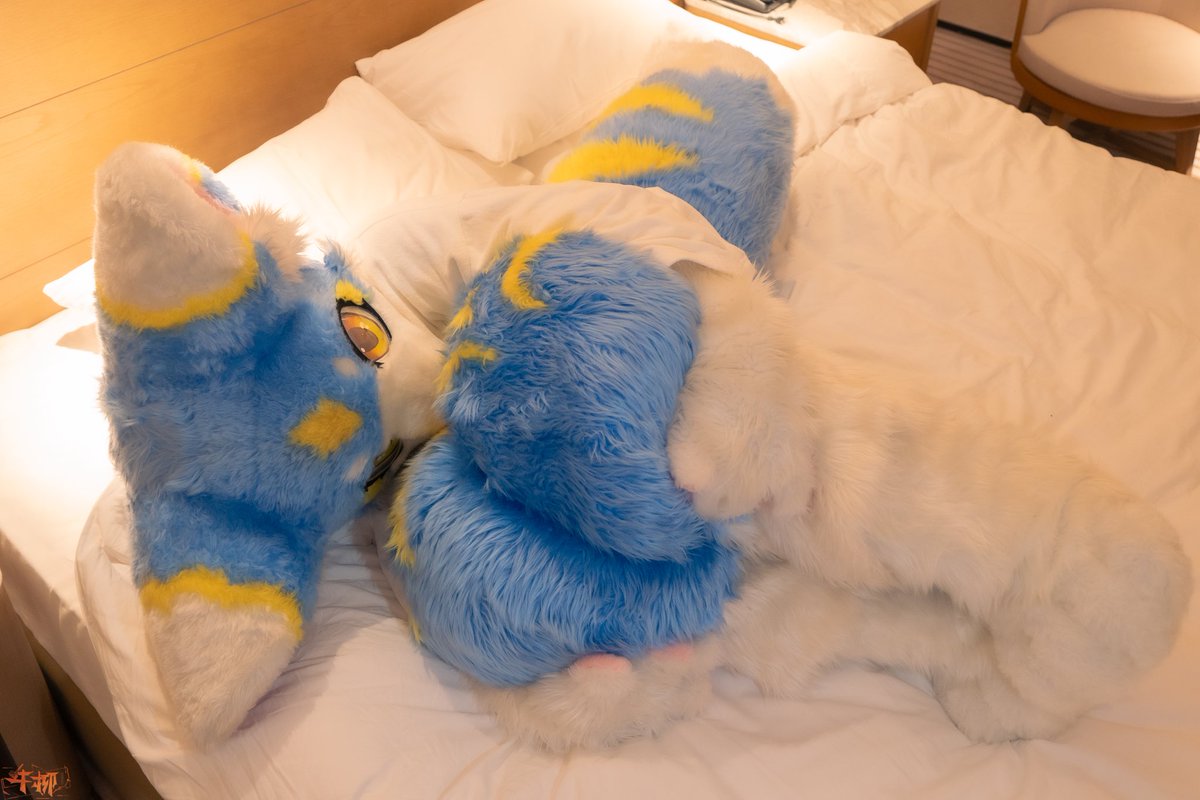 #FursuitFriday
好，好冷…要是有温暖的东西可以抱住就好了…
要是大家还在的话…一定会很暖和的吧…好想念大家呀…（缩成一团）
📷：杭椒牛柳