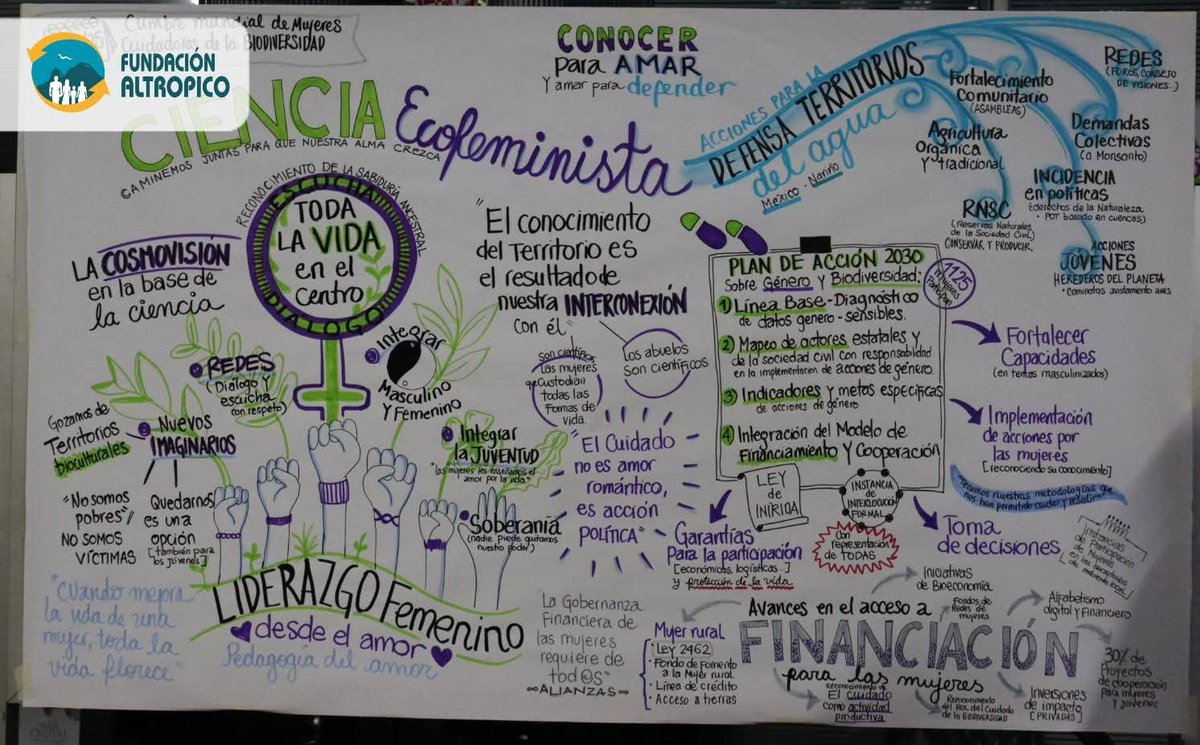 Fundación ALTROPICO_ec tweet media