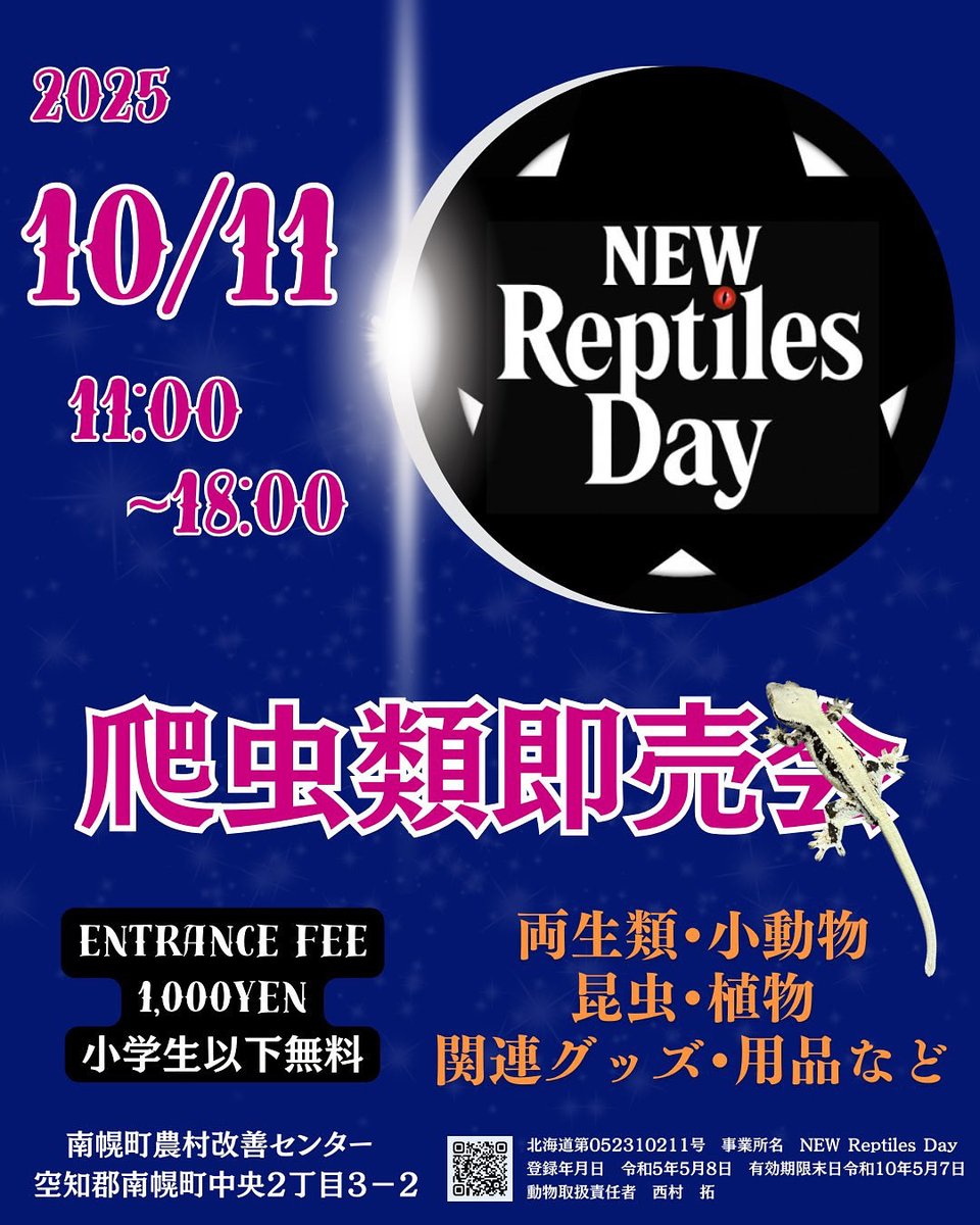 LR63112026's tweet image. 明日はいよいよ
NEW Reptiles Day✨✨✨
九州からたくさんのボールパイソンを持ってやって来ました🤩
初の北海道🐮🍦🍜
皆様是非遊びに来て、自慢のボールパイソンを選んでください🥳
お待ちしております(*^^*)
#NEWReptilesDay
#ballpython
#ボールパイソン