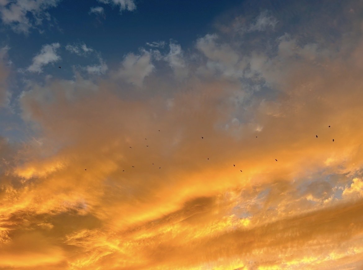 Apokaluptein tweet media