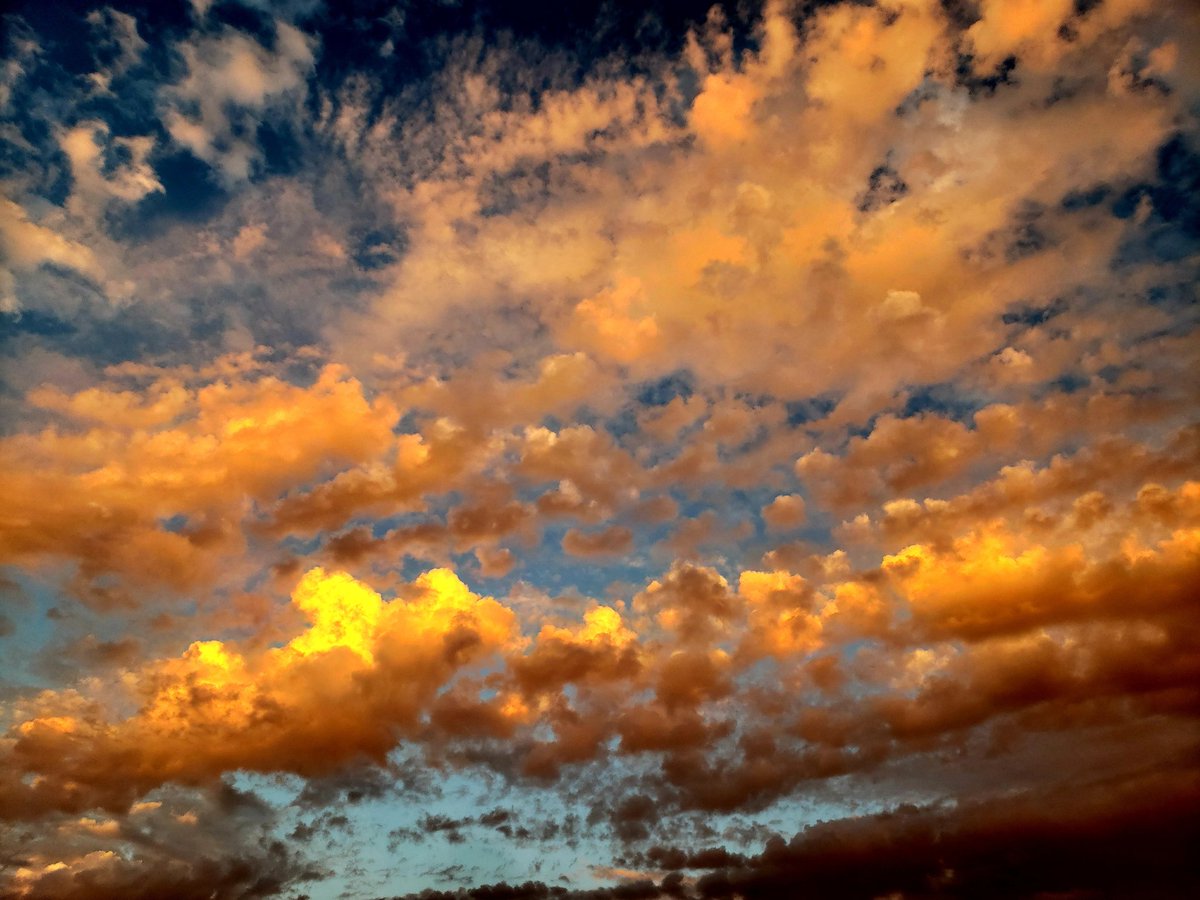 Tonight's sunset. #SoCal