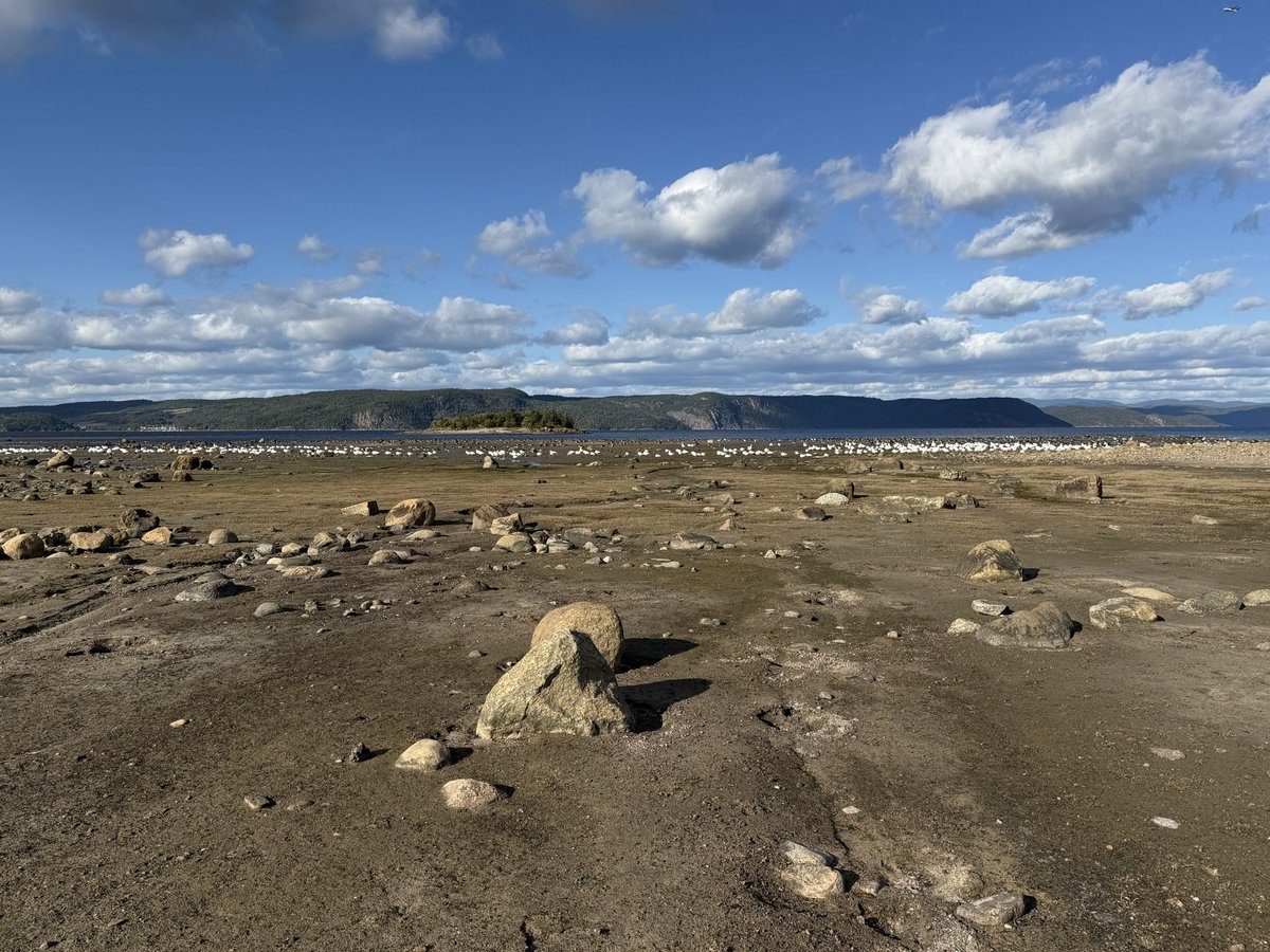 Photo challenge, show us a photo displaying depth!