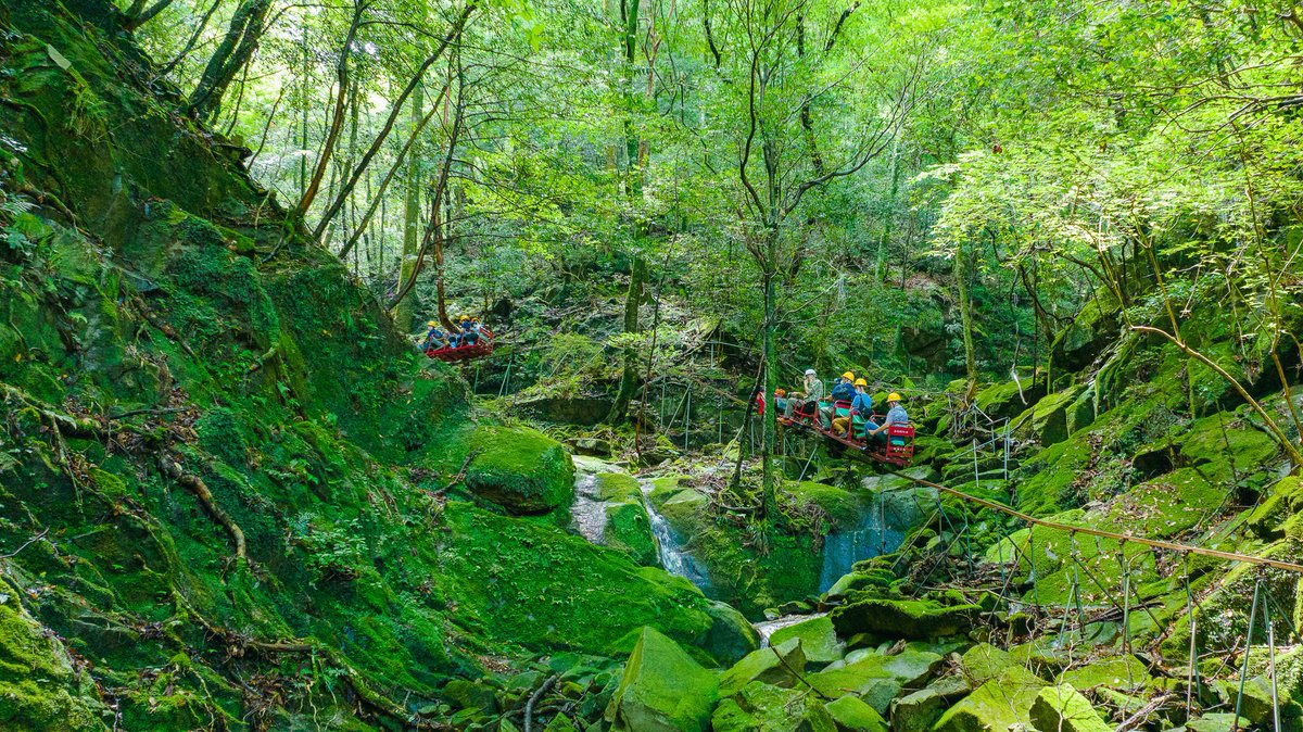 HokkaidoUnivPR's tweet image. 【お知らせ】
【リサーチタイムズ】「和歌山研究林100周年」100年の森が語る、学びと絆の物語

詳細はこちら
hokudai.ac.jp/researchtimes/…

#北海道大学 #北大