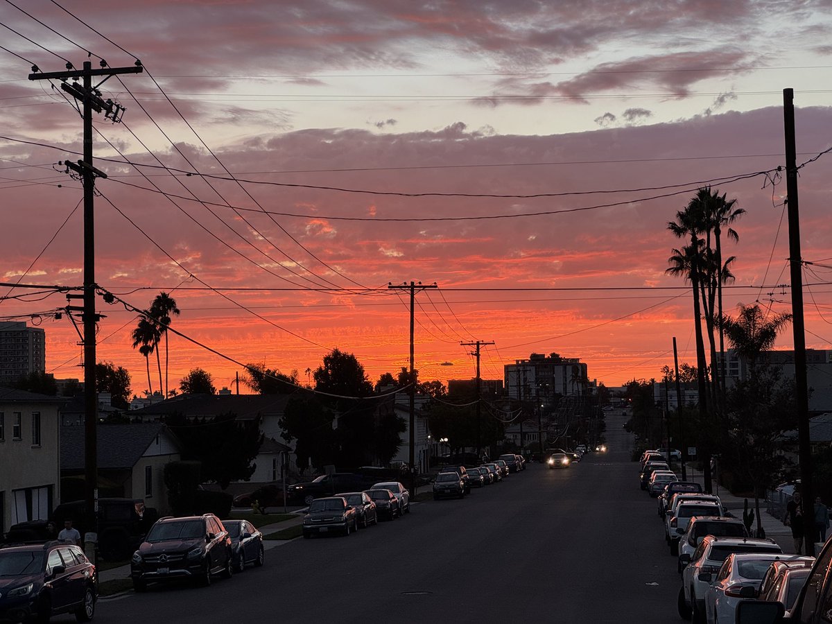 DriveWalkTransit tweet media