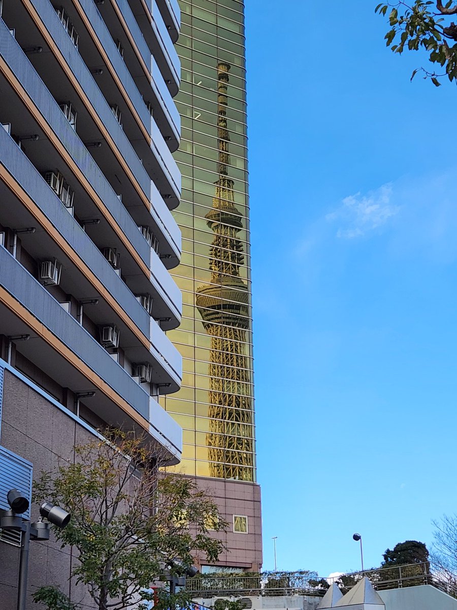 本日10/10は私達の世代では体育の日。

1964年の東京五輪の開会式が行われた日に由来。
2000年に適用されたハッピーマンデー制度により10月第2月曜に変更され、2020年にスポーツの日と改名されましたが私にとっては10/10が体育の日！

ヨシッ、今日も走ってきます！

それでは、皆様、良い一日を！