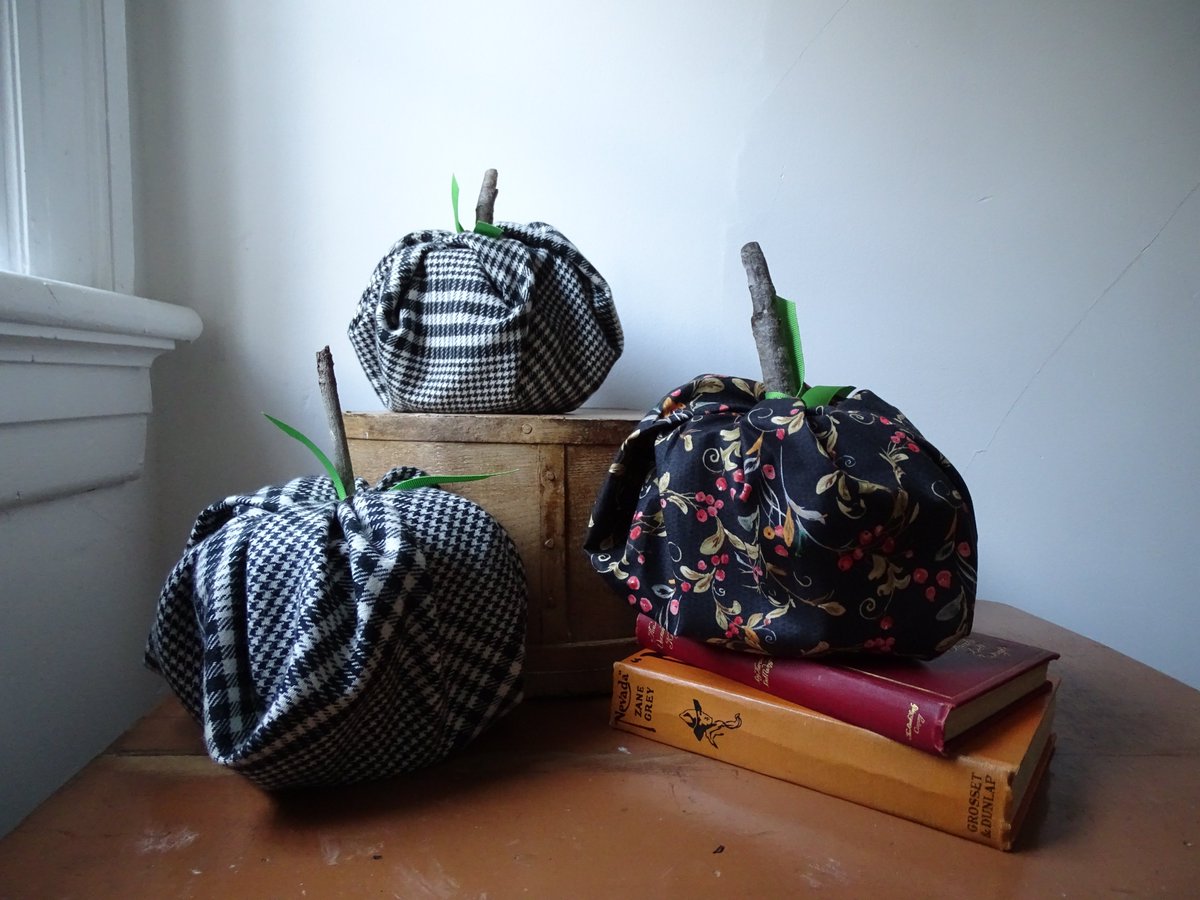 Looking for a simple, fall DIY with things you already have. We've got ya! hillcitybride.com/2025/09/diy-fa… #diy #crafts #falldiy #fallcrafts