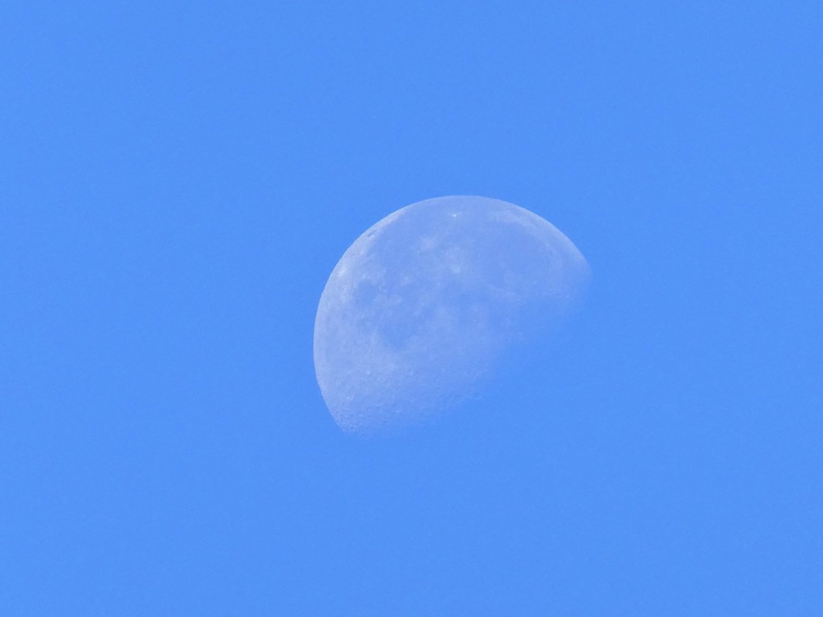 Fill the timeline with Blue!     
Post your photos