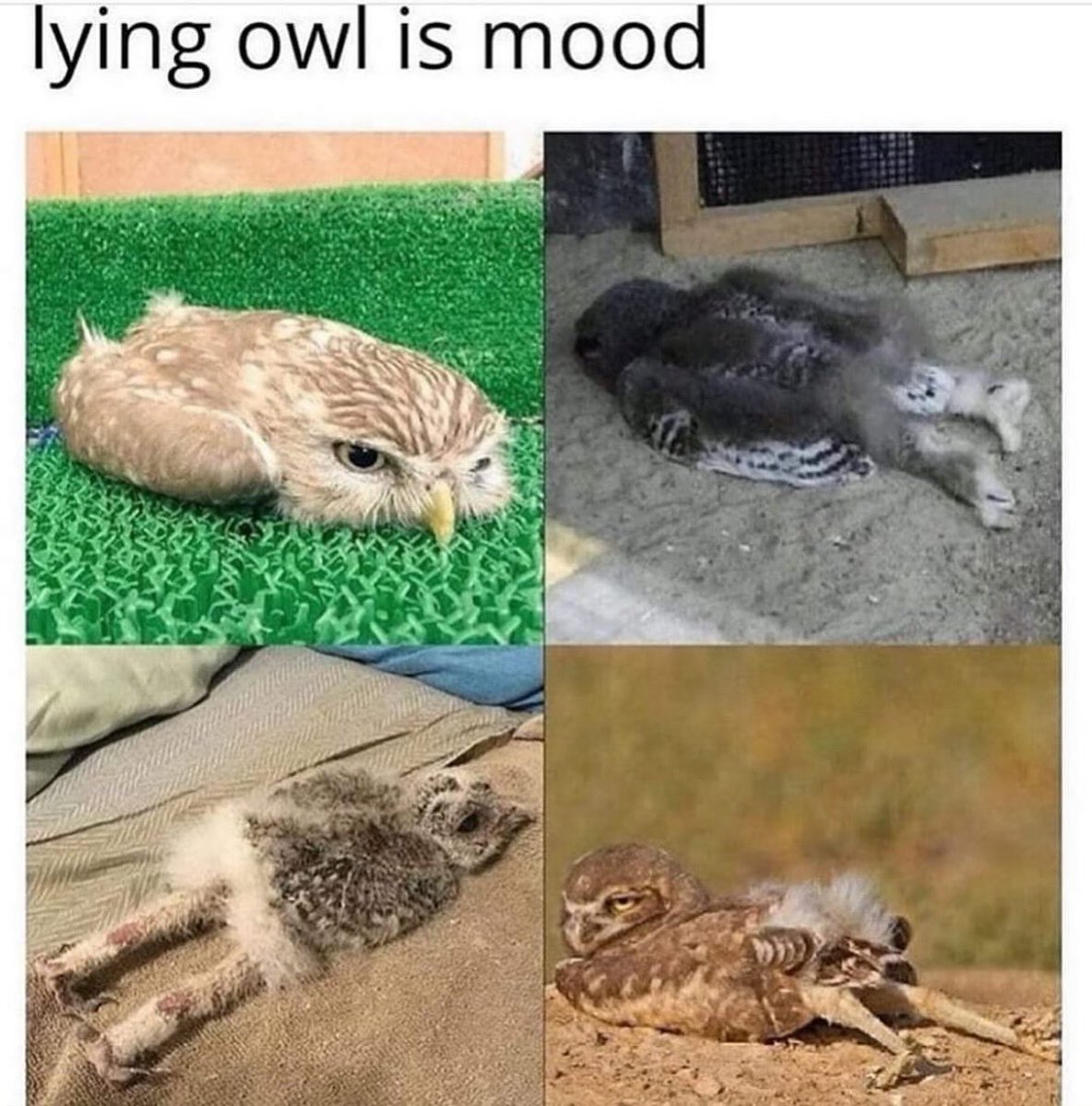 Kate Mellor (@katemellorsw) on Twitter photo  Kate Mellor (@katemellorsw) on Twitter photo