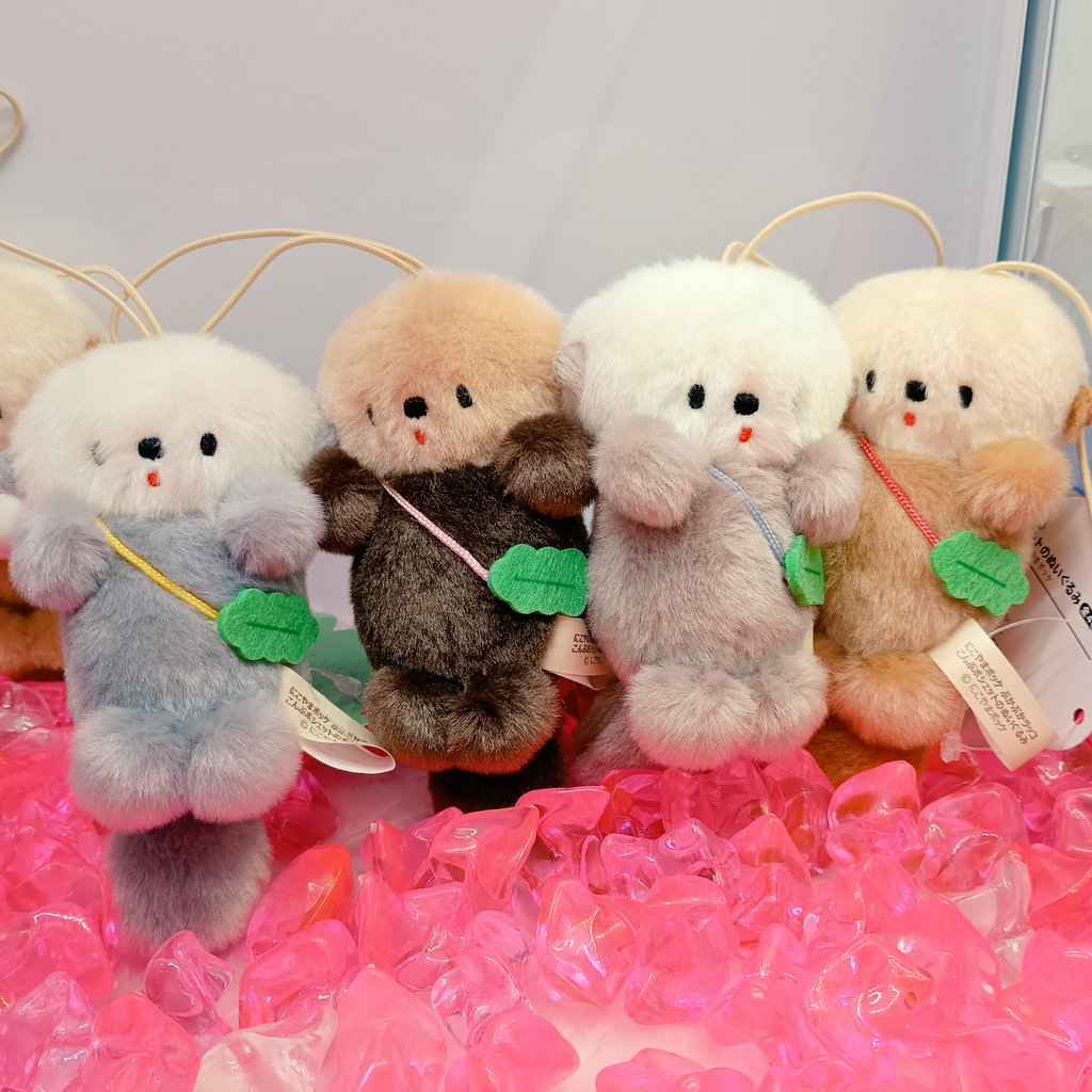 にこやまポッケ (@nicoyamapocket) / Posts / X