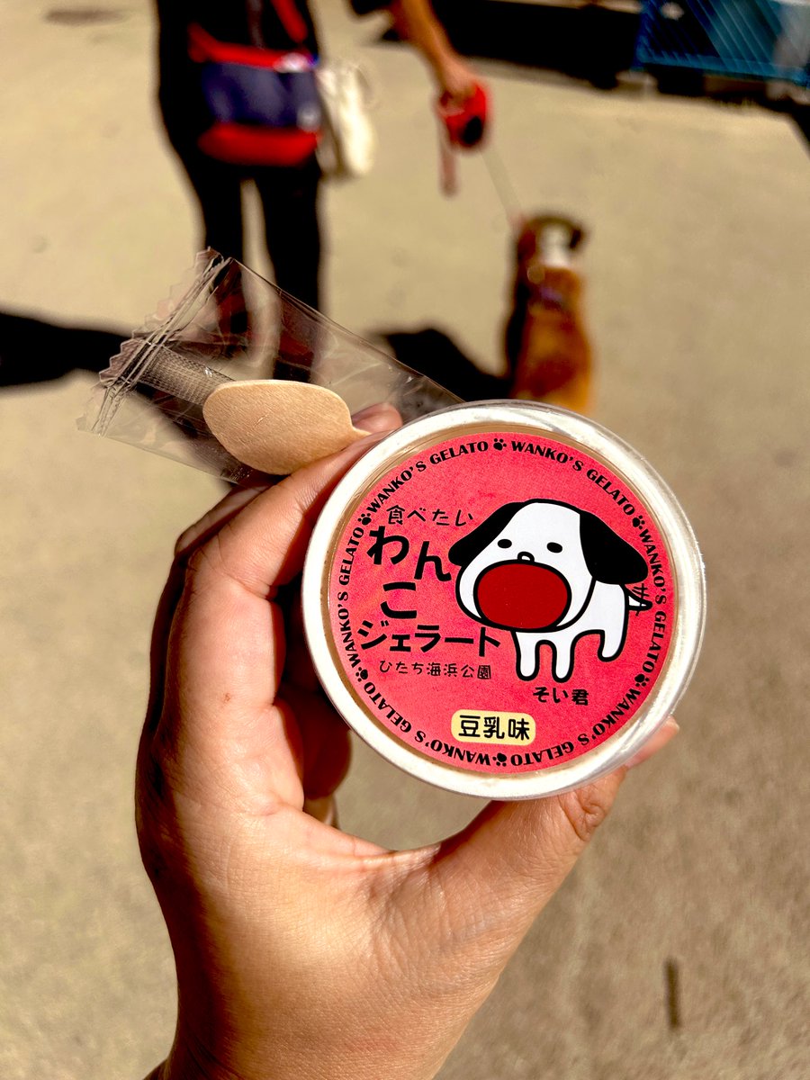 「想像より暑すぎた～ なんとわんこジェラートなんてものが ありがたみ～」|らくだ：ぼくいつ! 1巻出ました!のイラスト