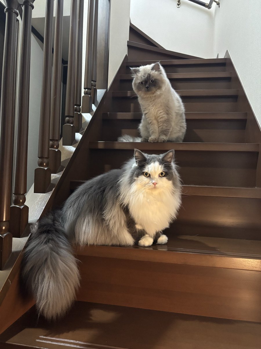 りの (@ishiguchi_rino) / Posts / X