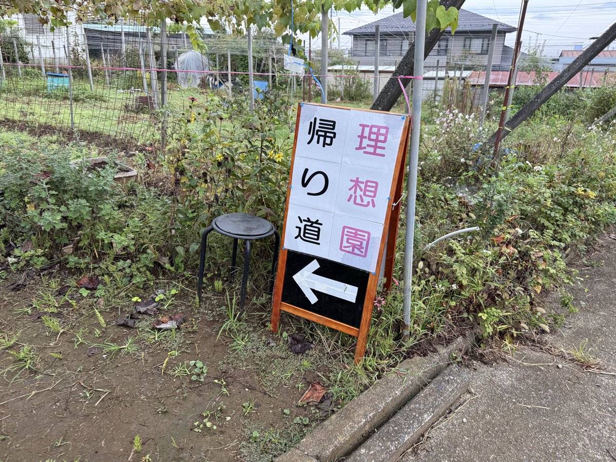 kusashio's tweet image. 10月10日（金）今日は、明日のシャインマスカット狩り会場の準備をしました。
本日は、青空ですが、明日の天気が心配です。明日は9:00から開園します。