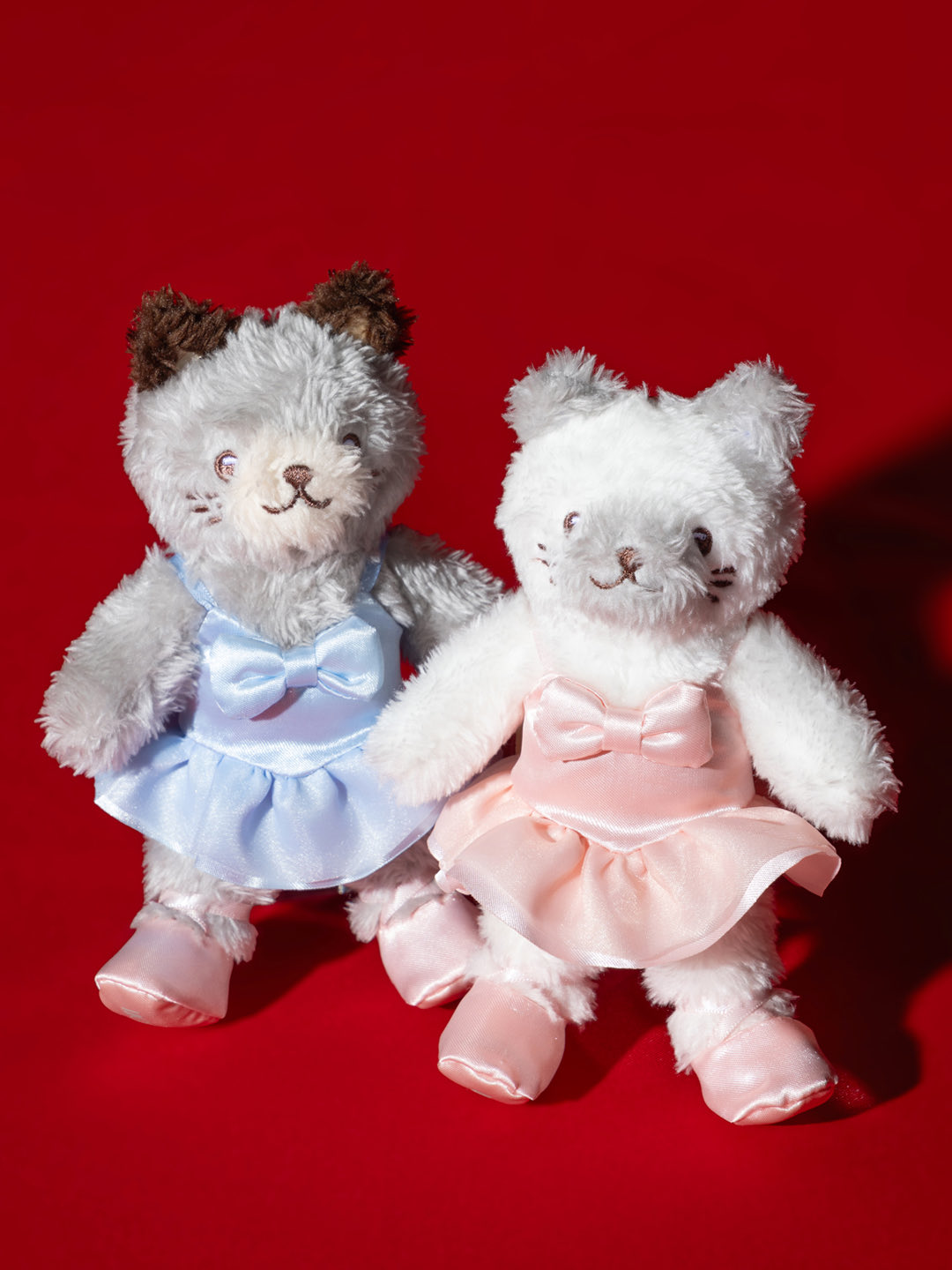 Chacott×Ball&Chain Cat Ballerina ✨News🩰 Chacott × Ball & Chain チャコットとの新しい