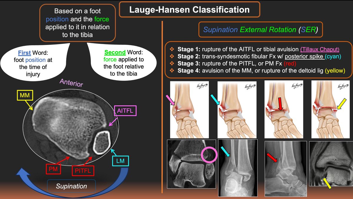 UTHealthRadRes tweet media