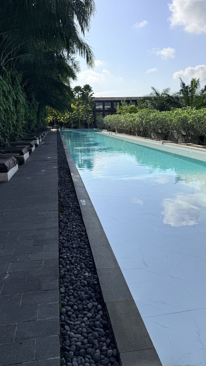 Remy Bompar tweet media