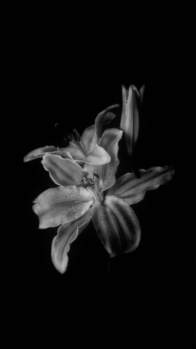 🃏alex🃏 tweet media