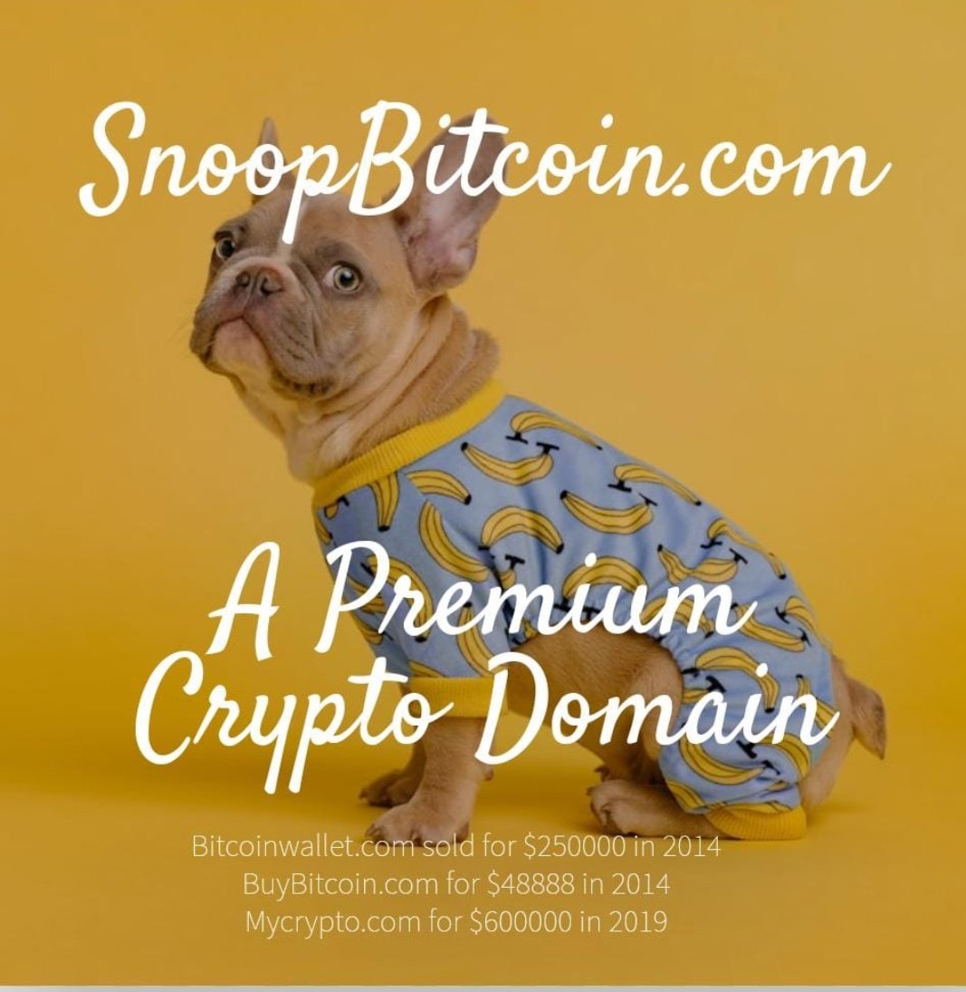 NovelDomains's tweet image. Donot miss this one of a unique bitcoin of a domain asset.

Snoopbitcoin.com 

Rare meaningful and brandable domain compound.

#snoop #bitcoin #BTC #Domain