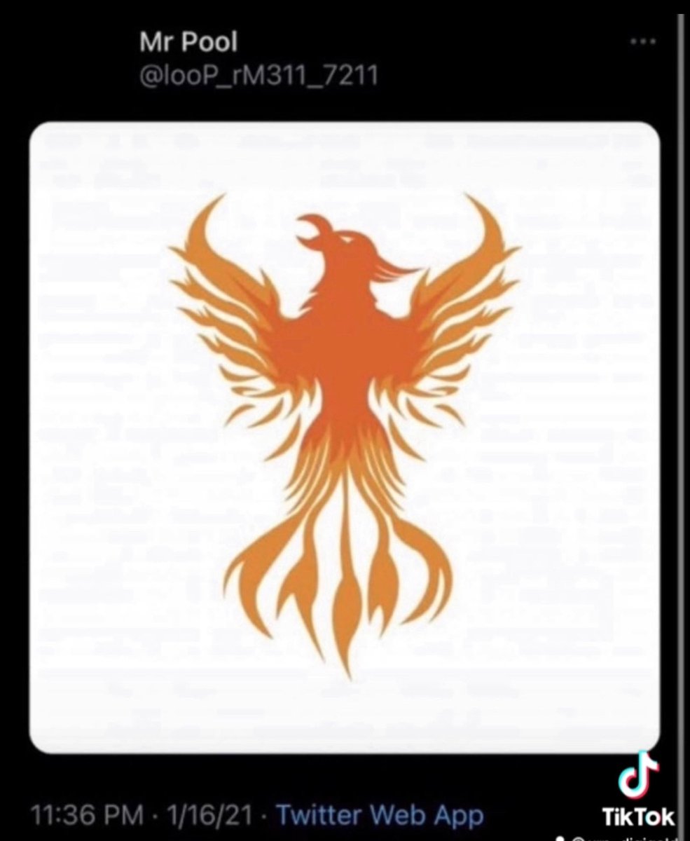 XRP_DigiGold's tweet image. 🟩🟩🟩🟩🟩🟩🟩🟩

11.36 = 119

1/16 = 9/11

🐦‍🔥

#MrPool PHOENIX 

🟩🟩🟩🟩🟩🟩🟩🟩
