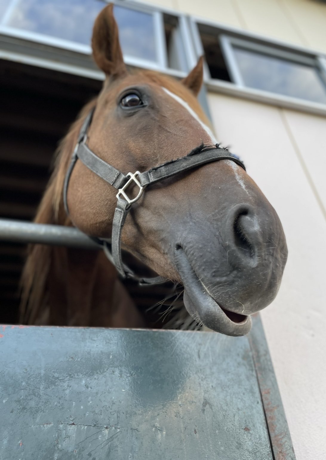 シャフリヤールのダービーゴール前写真未使用激レア シャフリヤールのダービーゴール前写真未使用激レア 2025年最新