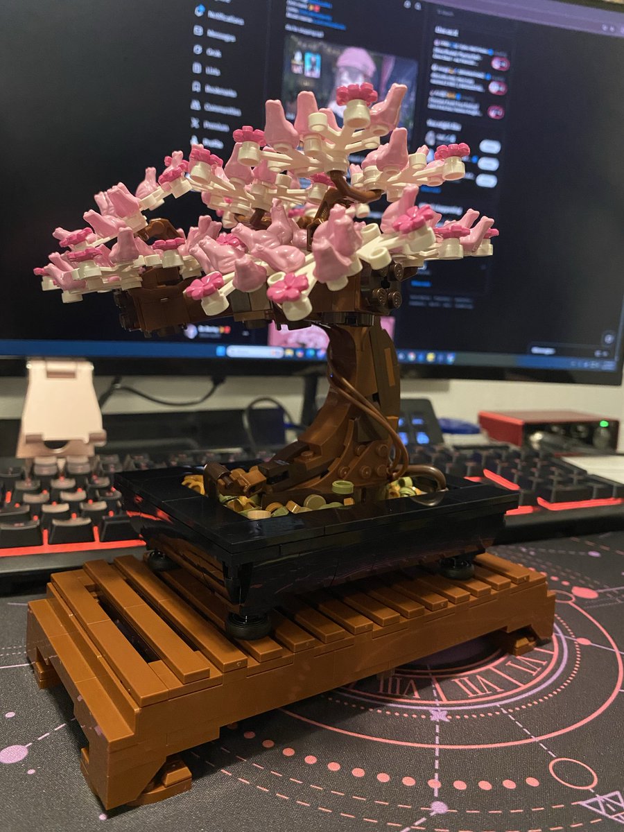 Bo Barley ✨🎀 tweet media