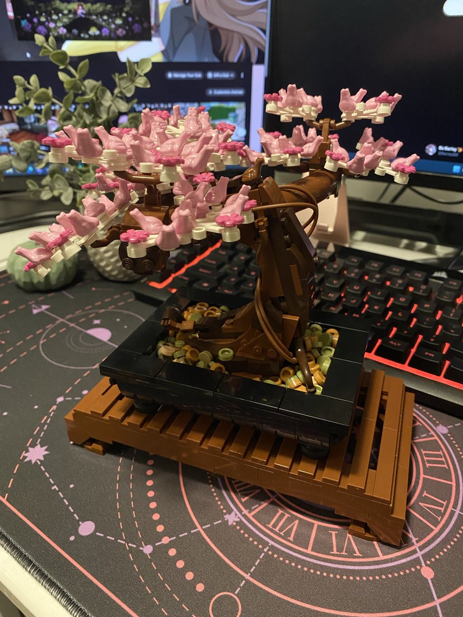 Bo Barley ✨🎀 tweet media