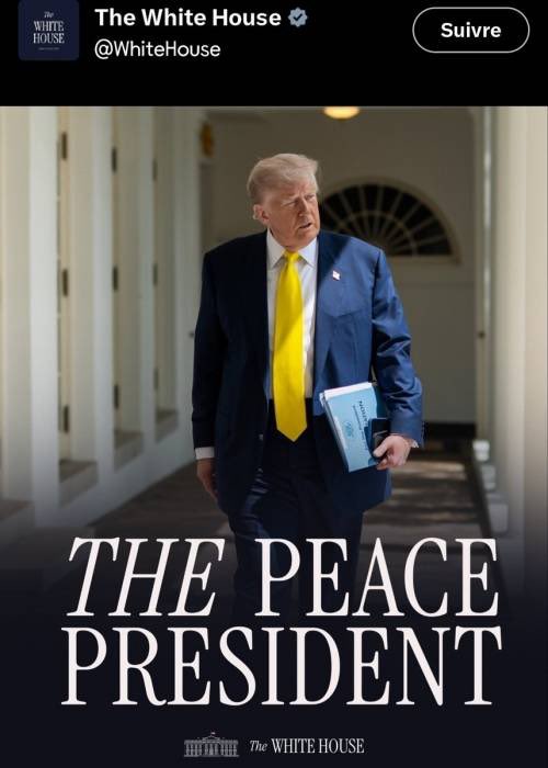 이진경 tweet media