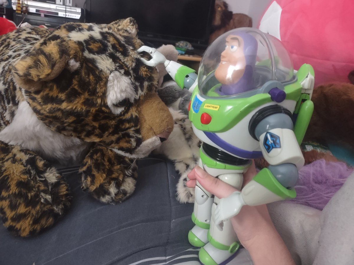 Stayed up late playing with my Buzz Lightyear action figure. Had him approach my stuffed animals to pet them and loudly announce "I AM BUZZ LIGHTYEAR" etc. to each of them. X3
