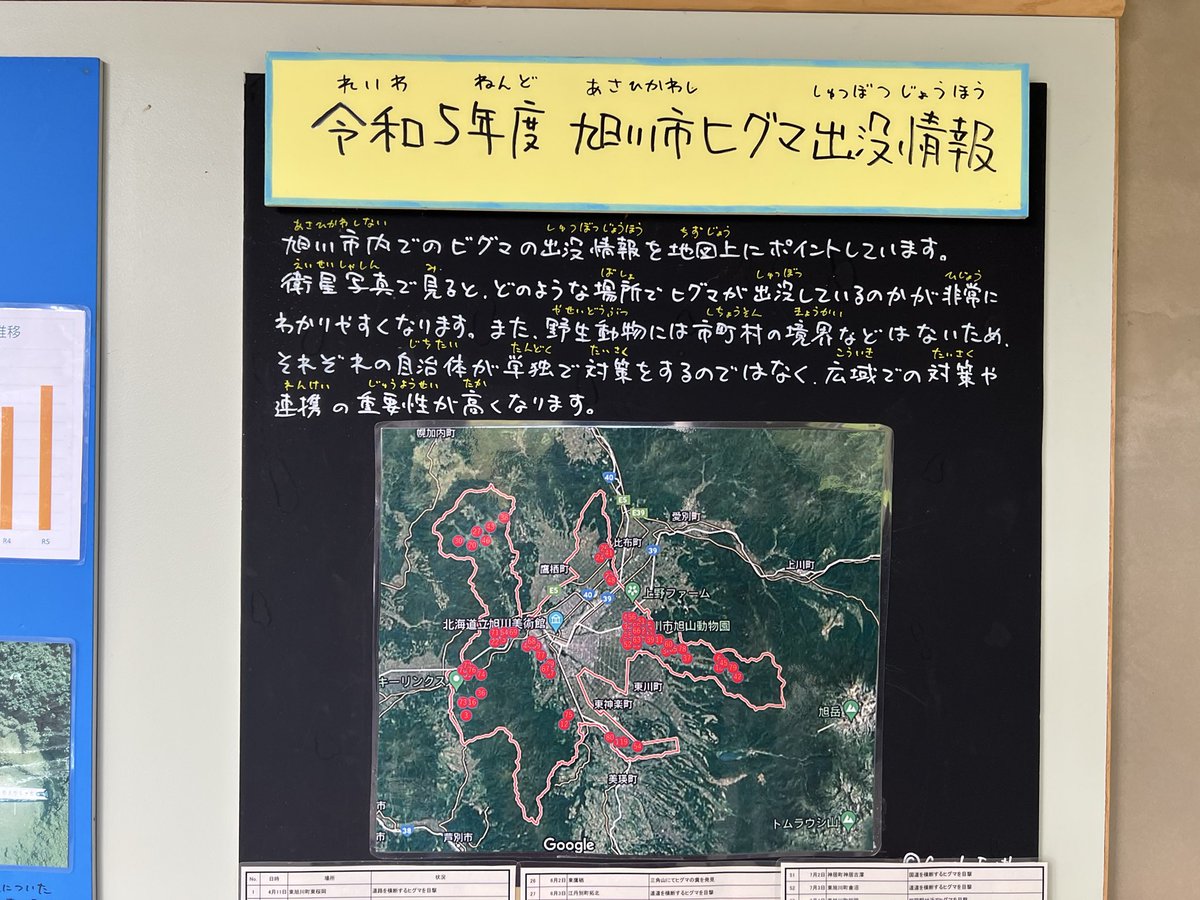 あとはクマ次第、は草。