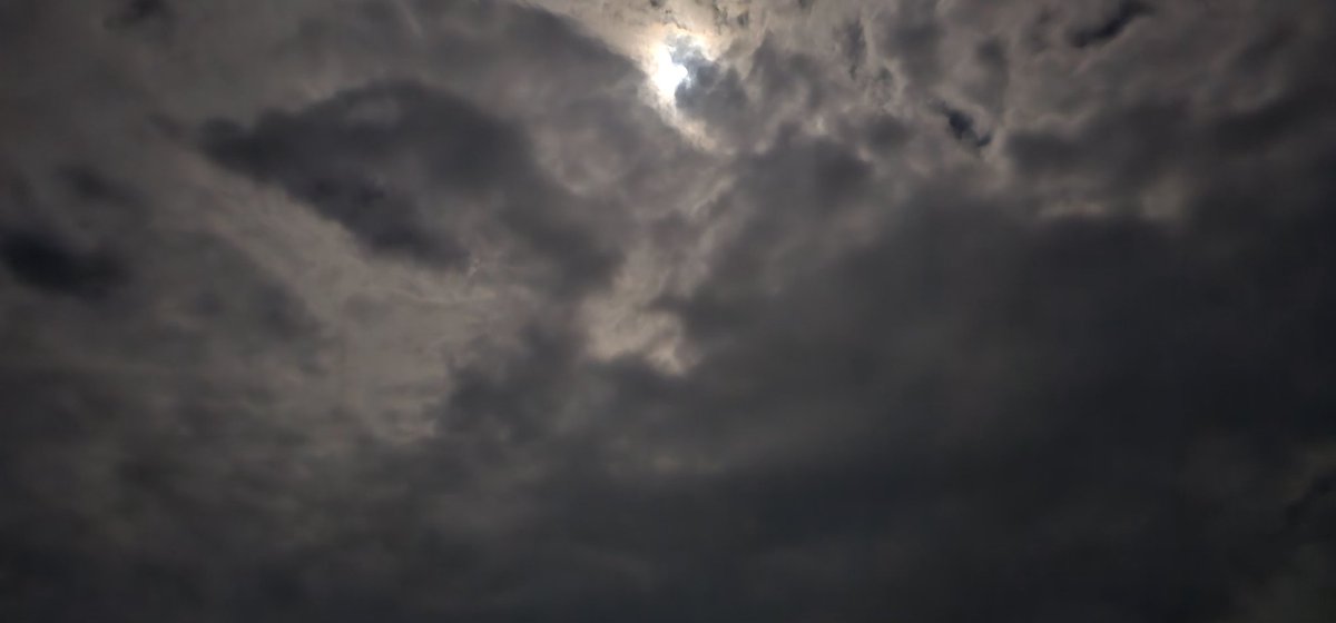 من لم يتعود على نظام الكون فقد خسر نفس
شعور مطلع الفجر لا يوصف 
صدقت يالله لك الحمد نظمت لنا حياتنا كلها مرتبه بنظام كوني رهيب
وَالْفَجْرِ(1)وَلَيَالٍ عَشْر 
وَالصُّبْحِ إِذَا تَنَفَّسَ
(وجعلنا الليل لباسا(١)وجعلنا النهار
معاشا) والله احزن على الاشخاص الذي تضيع عليهم لحظات الفجر