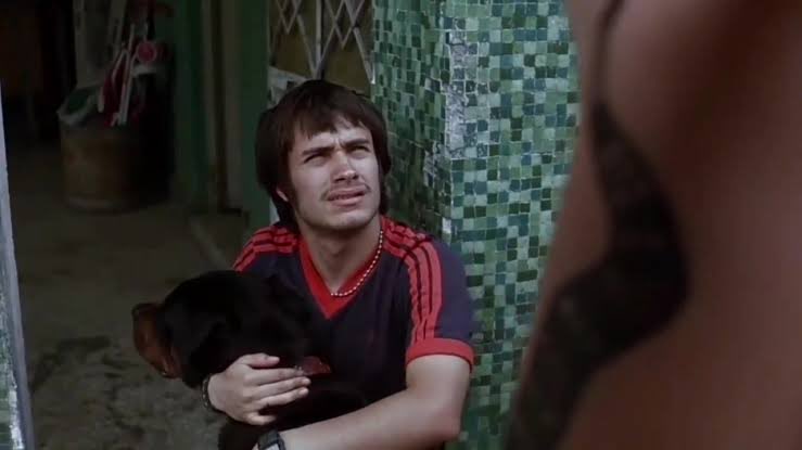 ¿Ya viste el desmadre que armó tu 25 aniversario, Amores Perros?