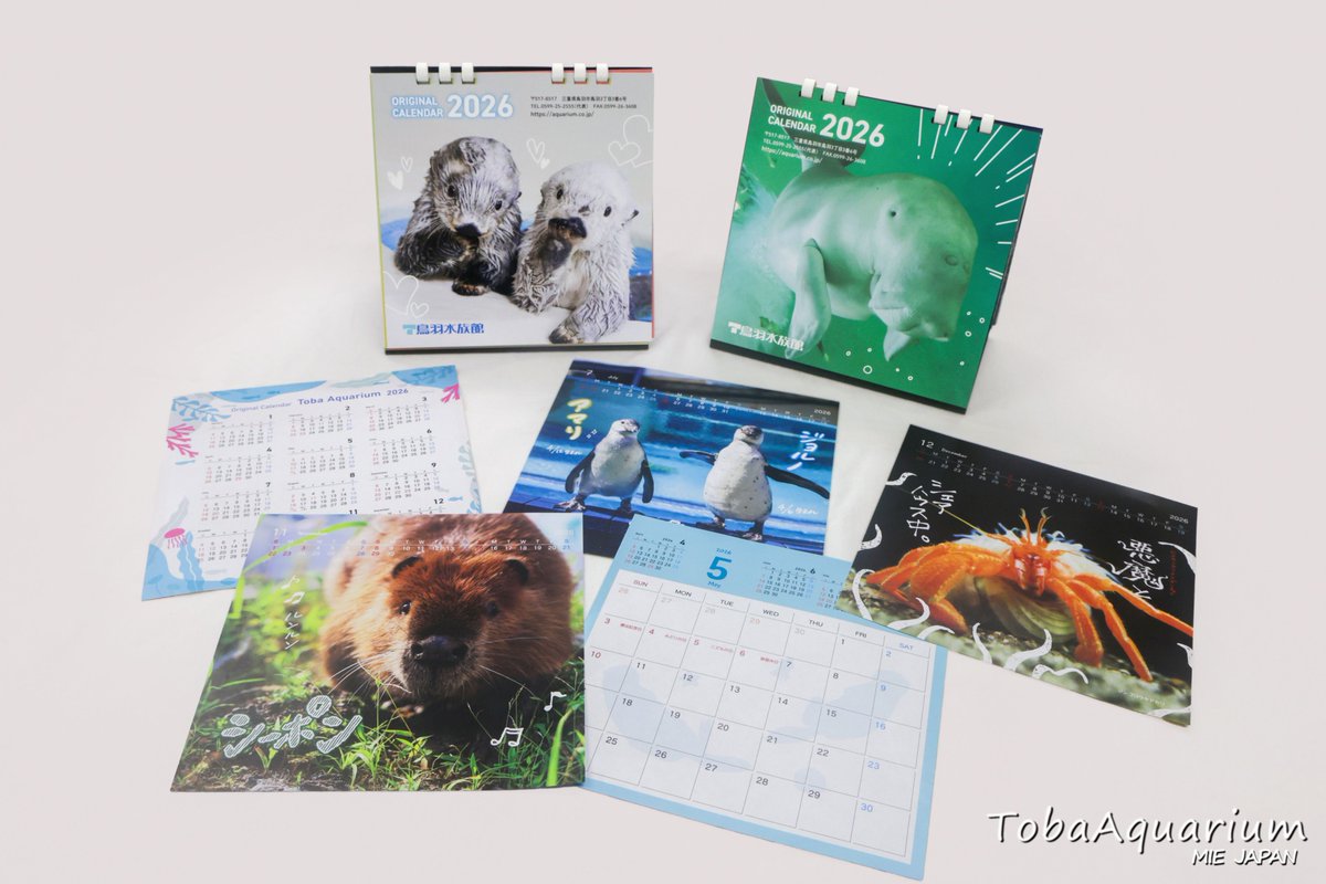 【2026年版 鳥羽水族館オリジナルカレンダー完成🎉】
明日10/11(土)より館内売店にて販売開始します❣そしてオンライン販売も同日9:30より実施します🌟皆様ぜひお買い求めくださいませ👀✨ #鳥羽水族館 
詳細・販売ページはこちら⬇️
aquarium.co.jp/topics/251010_…