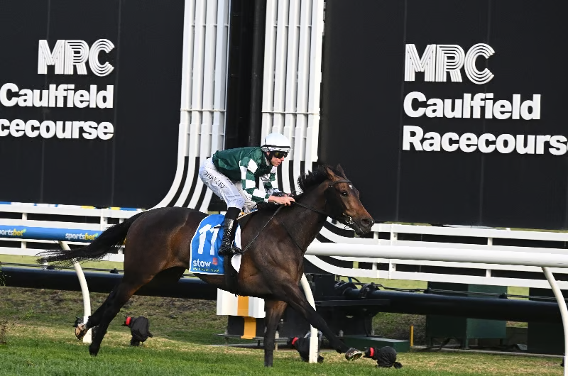 bets_comau's tweet image. For Matt Laurie, the next chapter in a two-decade journey might just be the most rewarding.

@YulongInvest @mattlaurierace @MelbRacingClub @RacingPedigrees 

Treasurethe Moment and Vinrock lead his charge on Caulfield Guineas Day.

👉 Story: bets.com.au/racing-news/bi…