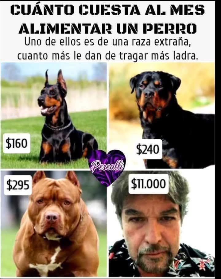 Carlos36682143's tweet photo. @CarlosVerareal https://t.co/CJUhrF8rzC