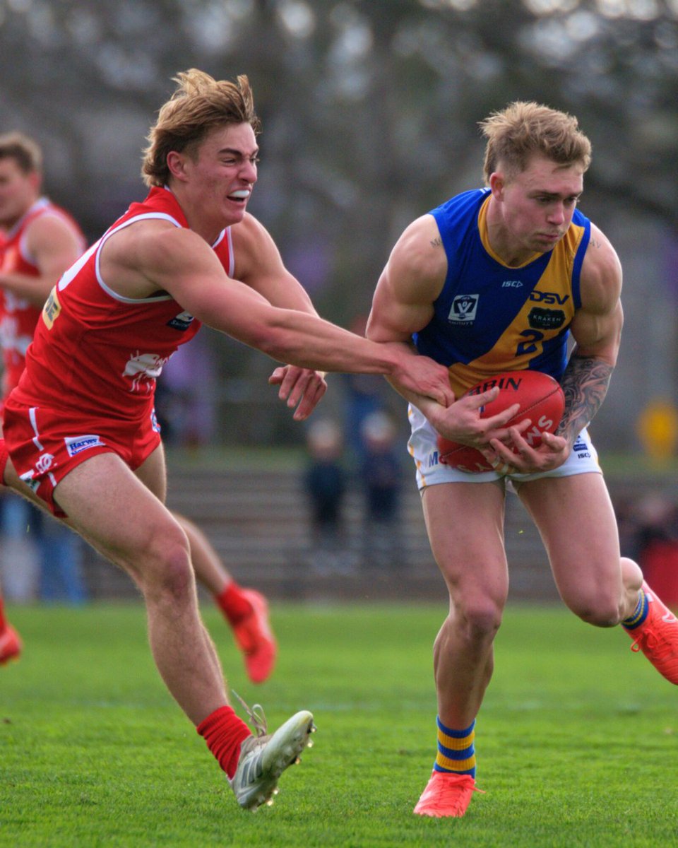 Earlier this week, it was announced that the Northern Bullants/Preston Football Club will not be continuing in the VFL in 2026.

Williamstown Football Club shares a rich history with the Bullants, dating back over a century. We pay tribute to the players, administrators, boards,