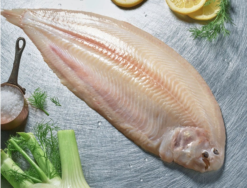 🌊🐟 Wat een geweldige start van Catch &amp; Connect 2025! Nederlandse visserij in de spotlights – met trots, passie en beleving. Van kotter tot keuken, van visser tot chef: we laten zien hoe bijzonder onze sector #VrijdagVisdag en #VanKotterTotKeuken. 🌊🐟  <a href="/Vissersbond/">NED■VISSERSBOND</a> <a href="/stasLVVN/">Jean Rummenie</a>