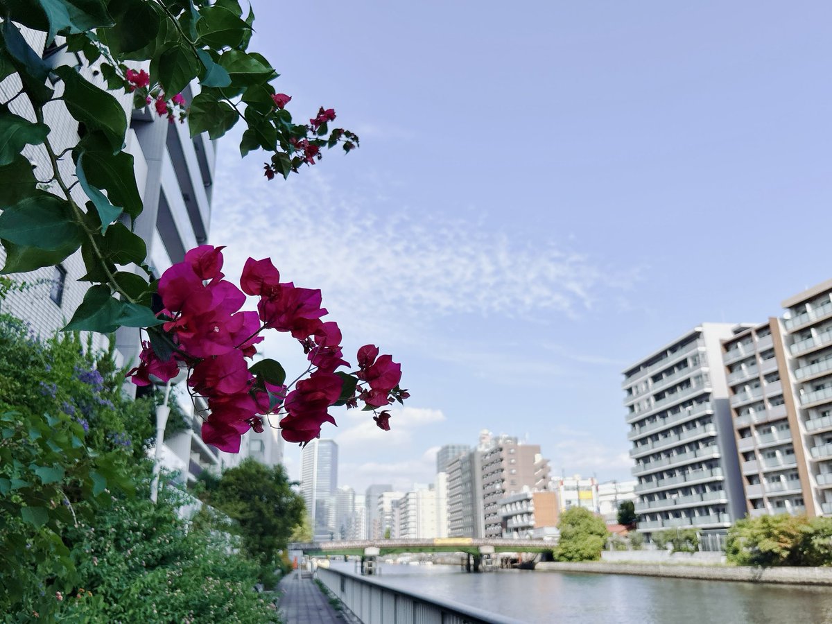 ᗦ↞◃ (@kicomaroon) on Twitter photo 