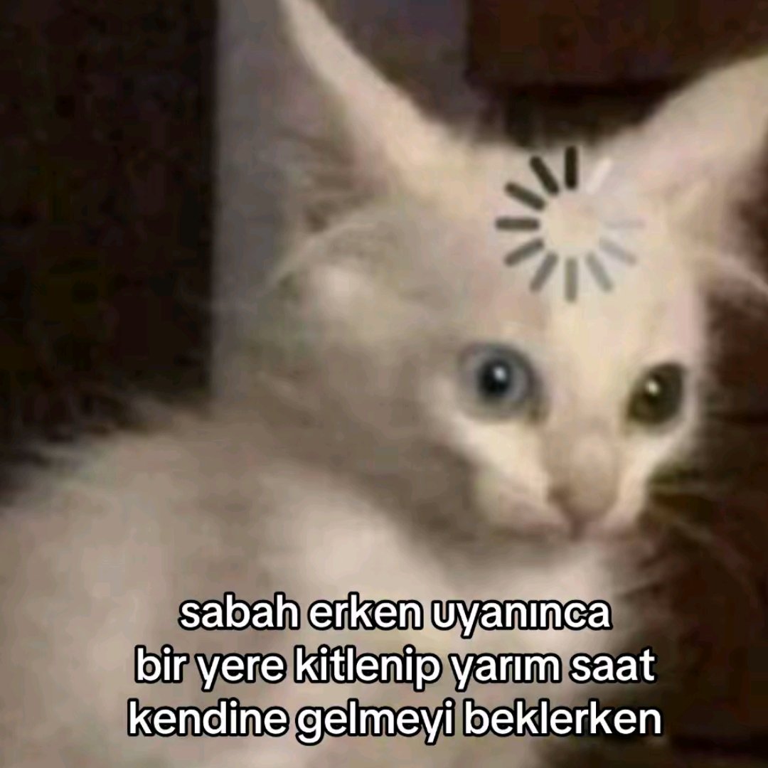 ANLIK (@anlikmod) on Twitter photo 